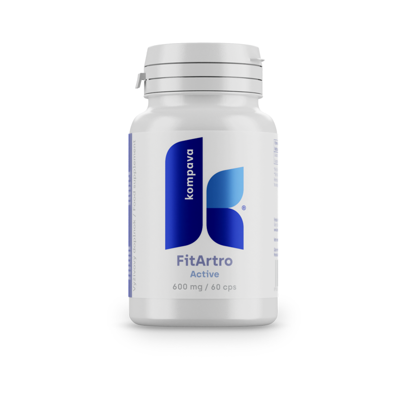Fit Artro Aktiv 600 mg/60 kaps