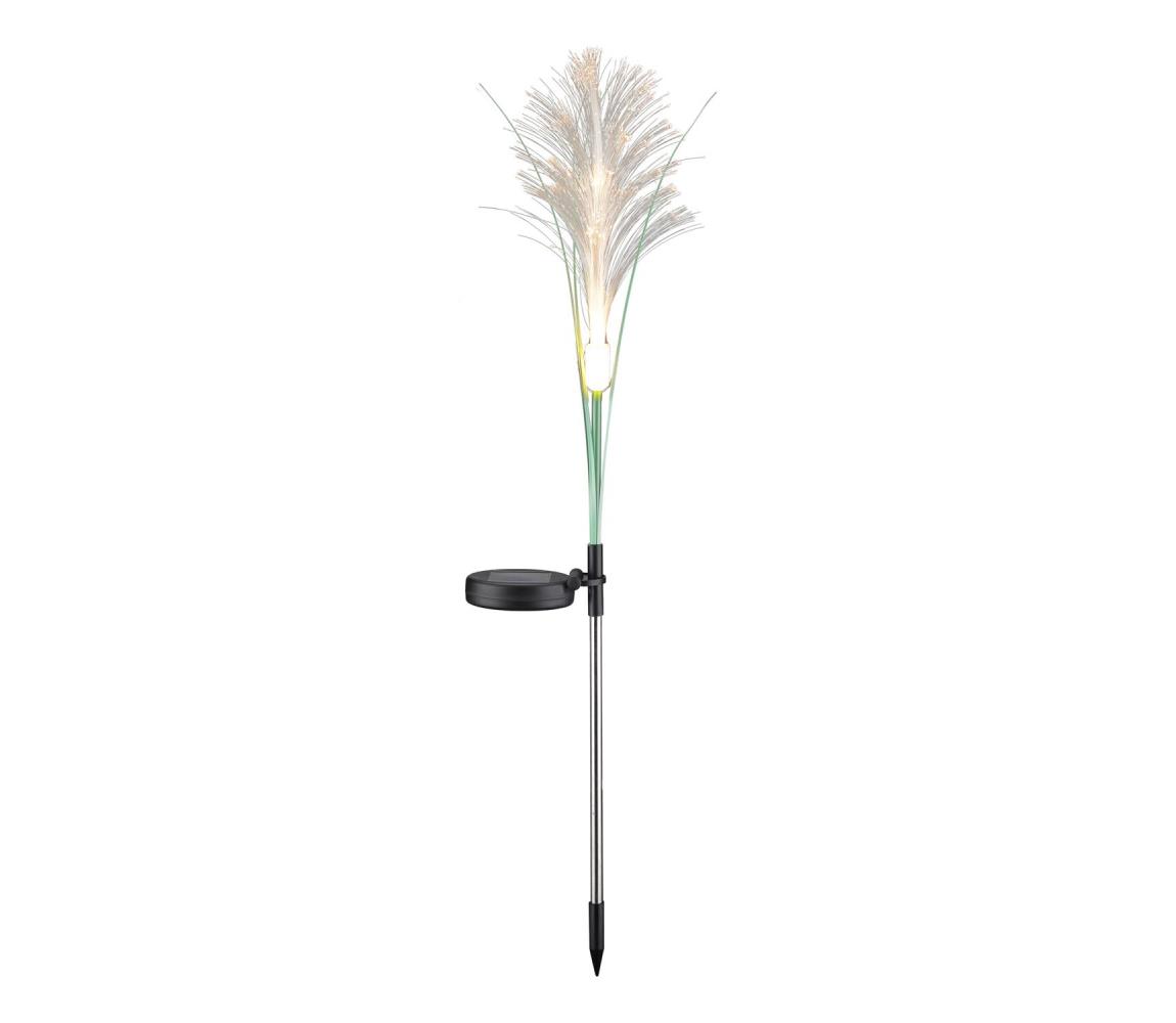 LED Oświetlenie solarne GRASS LED/1,2V 3000K 600 mAh IP44 czarne