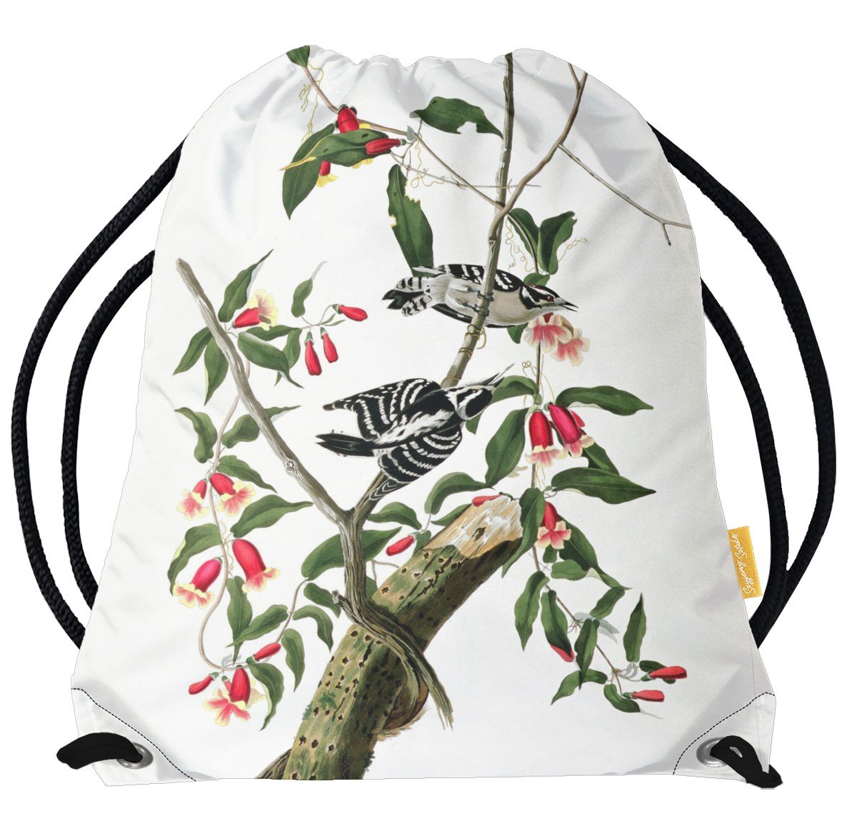 Worek Downy Woodpecker James Audubon-Standard
