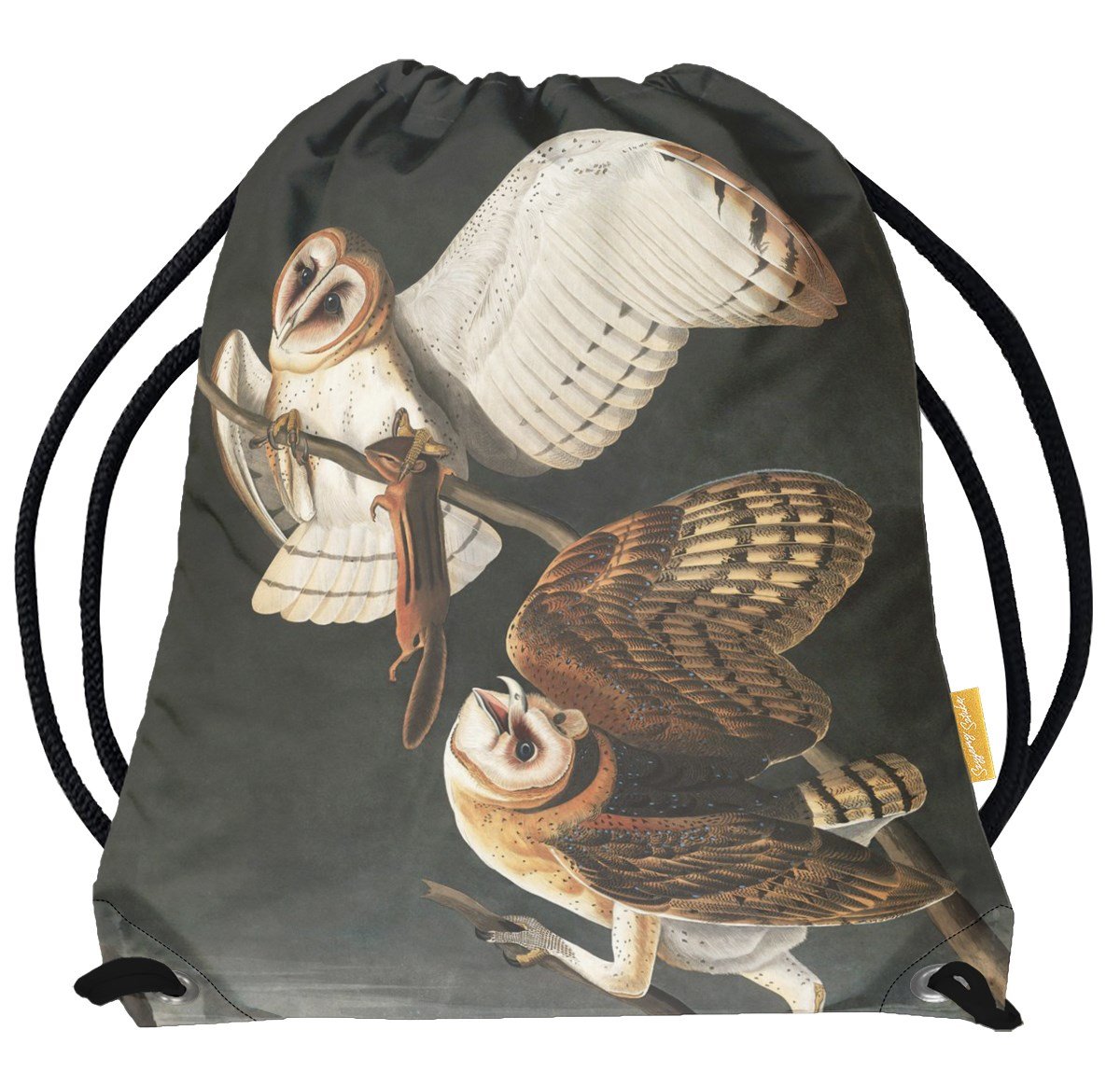 Worek Barn Owl, Tyto Alba James Audubon-Standard