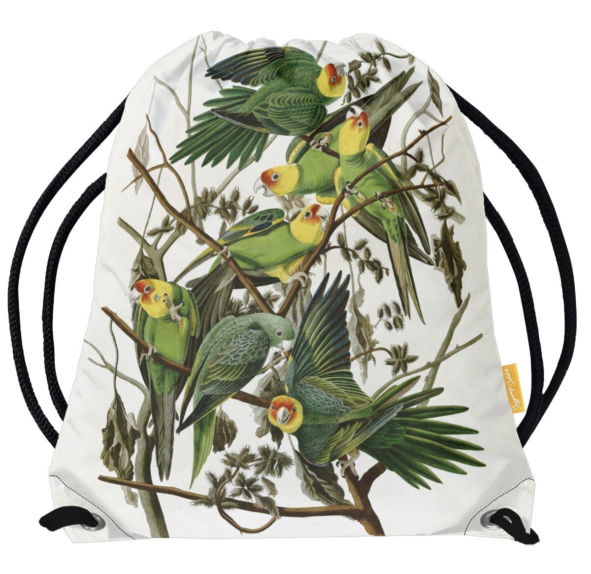 Worek Carolina Parakeet James Audubon-Standard