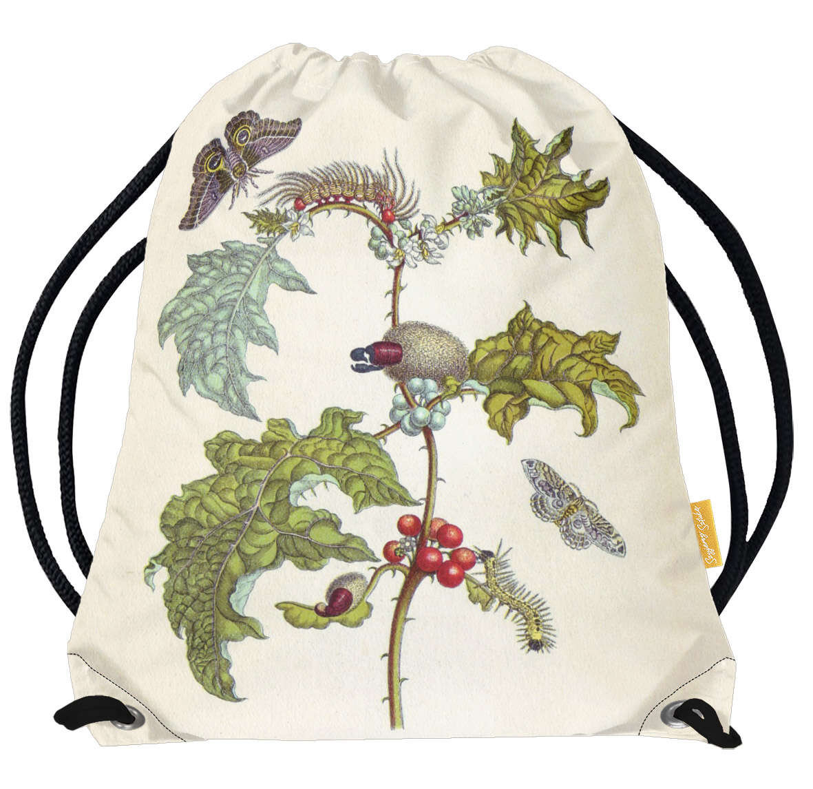 Worek Metamorfoza owadów Surinamensium Maria Sibylla Merian-Standard