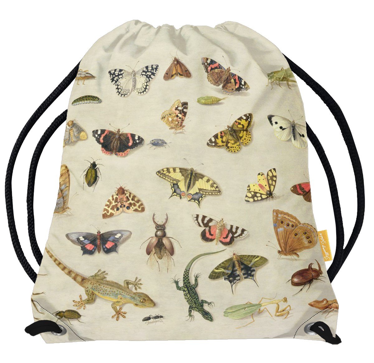 Worek Studium owadów Jan van Kessel (starszy) -Standard