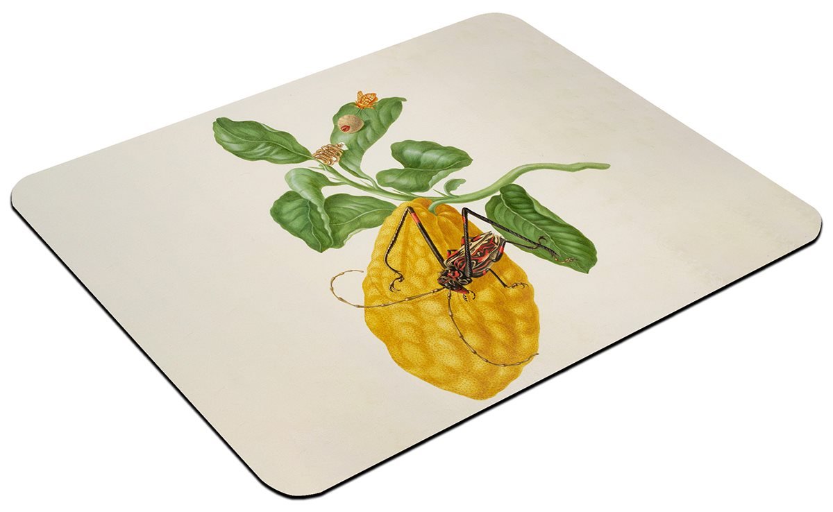 Podkładka Cytryna z gąsienicą małpy i chrząszczem harlekin Maria Sibylla Merian 60x40cm