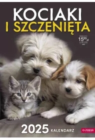 Kalendarz 2025 A3 Ścienny Kociaki i Szczenięta