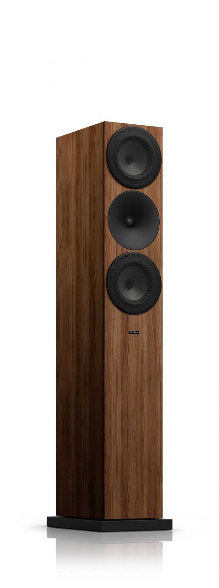 Amphion Argon 7L S Orzech