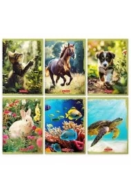 Zeszyt A5/16K linia podwójna Animals (20szt)