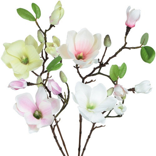 MAGNOLIA GAŁAZKA K525-M