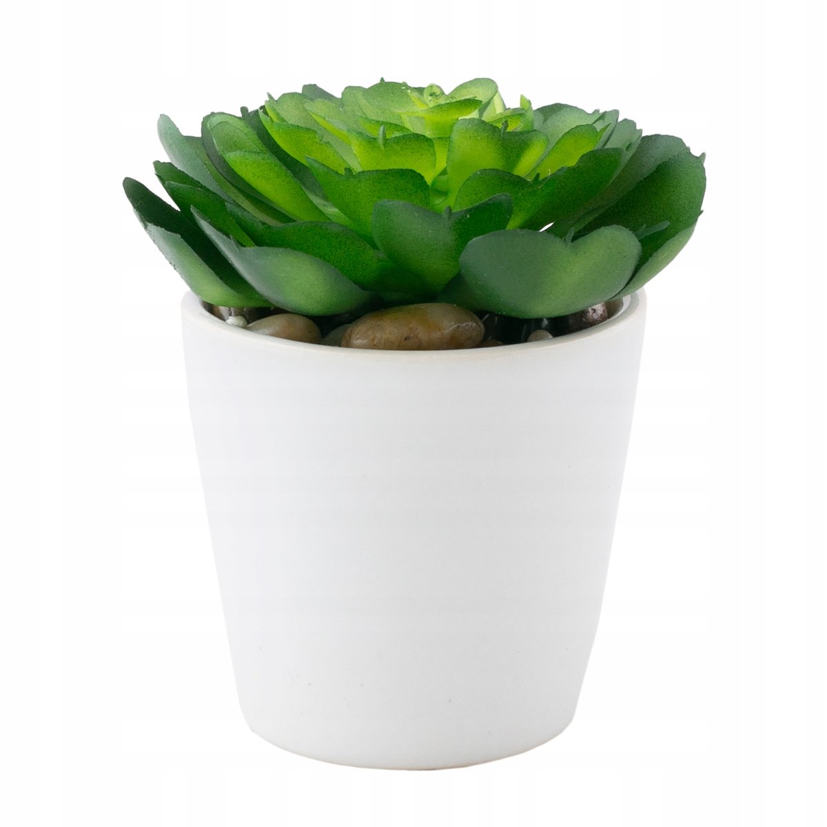 SZTUCZNA ESZEWERIA w ceramicznej doniczce