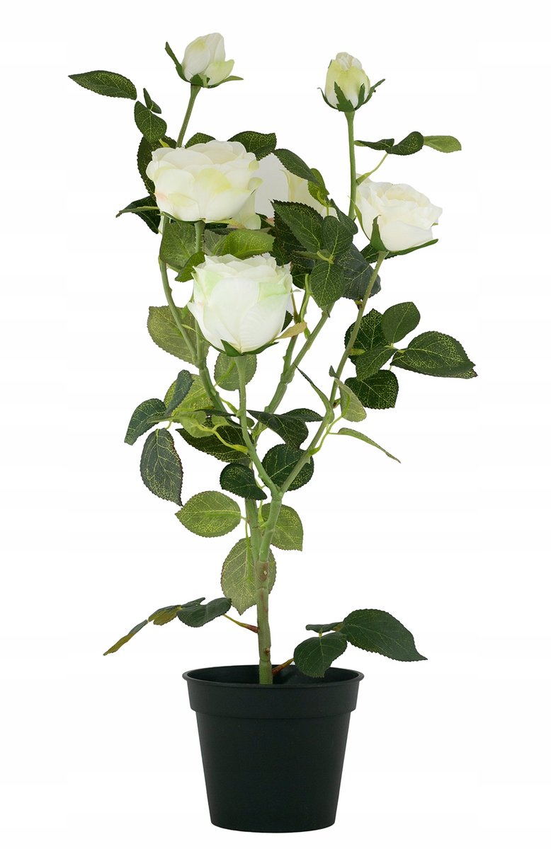 SZTUCZNE DZIKIE RÓŻE w doniczce białe