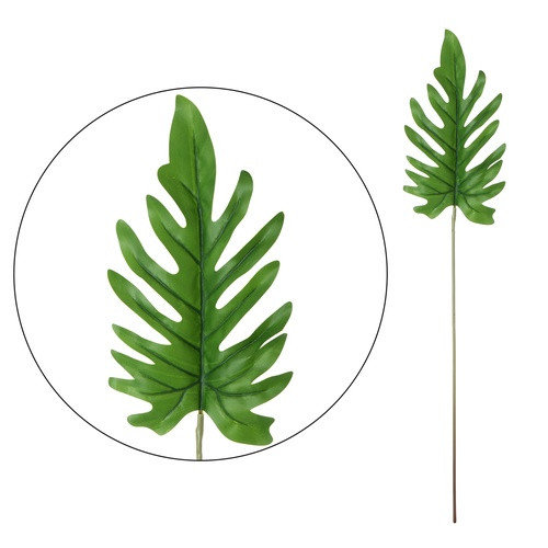 MONSTERA PHILO - LIŚĆ L335