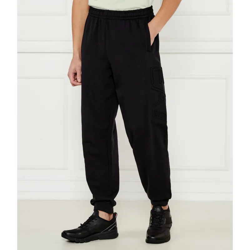 EA7 Spodnie dresowe | Regular Fit