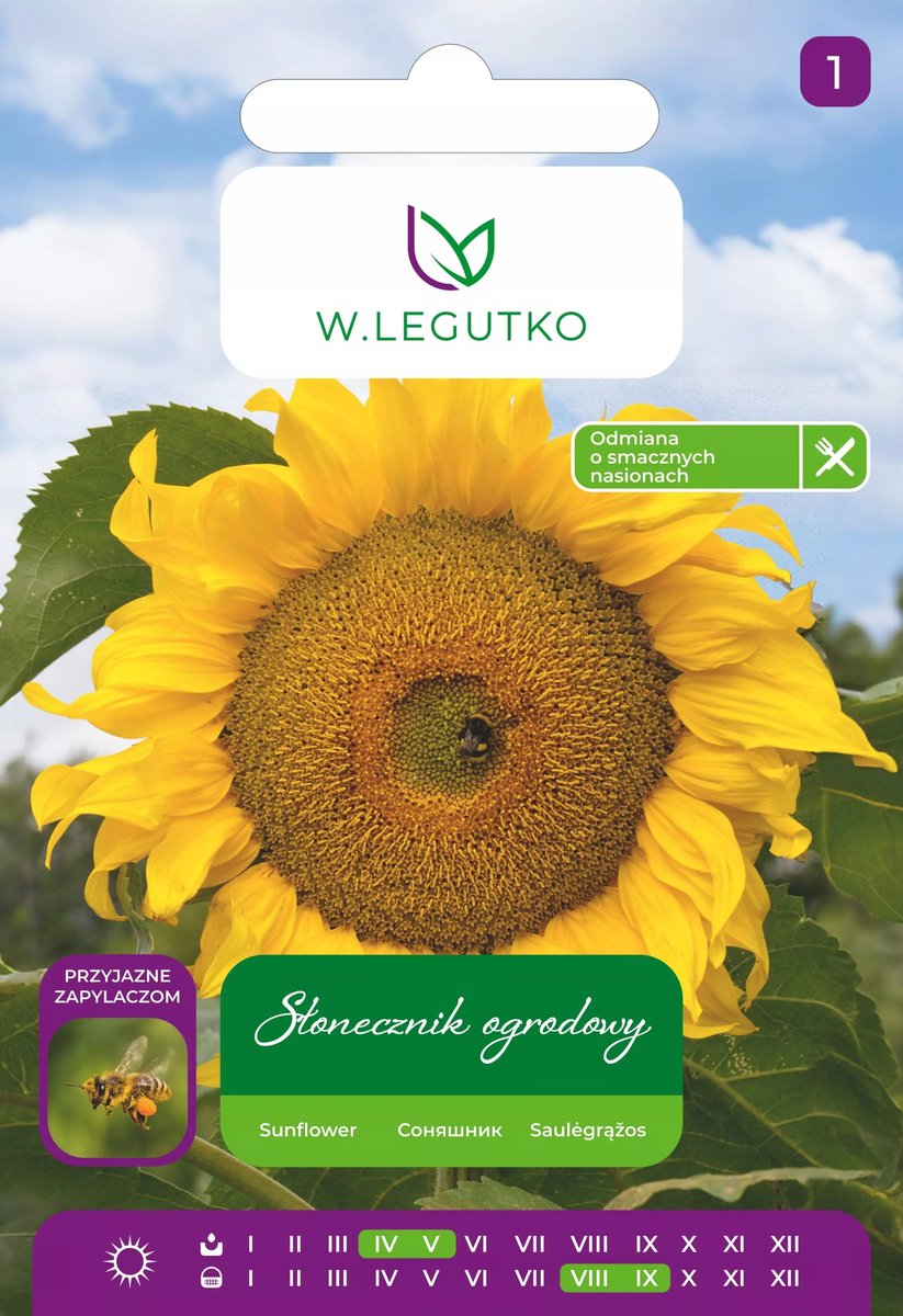 Nasiona Słonecznik jadalny 10g - W.Legutko