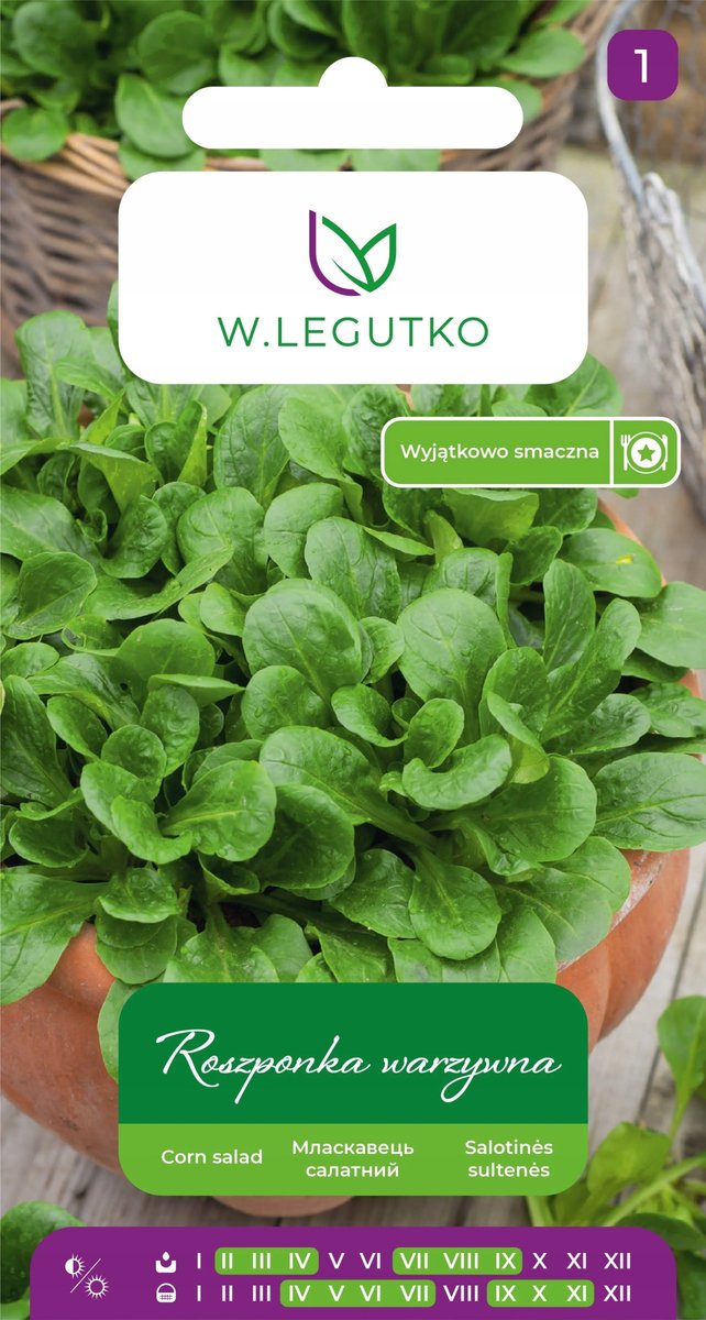 Nasiona Roszponka warzywna Verte de Cambrai 2g - W.Legutko
