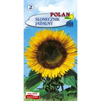 Słonecznik Jadalny Polan