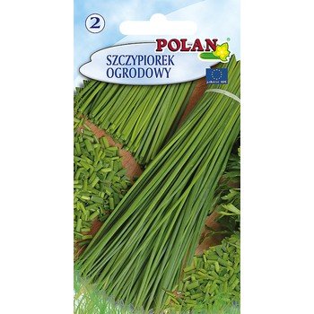 Szczypiorek Polan