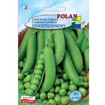 Groch Siewny Łuskowy O Nasionach Gładkich Sześciotygodniowy Polan