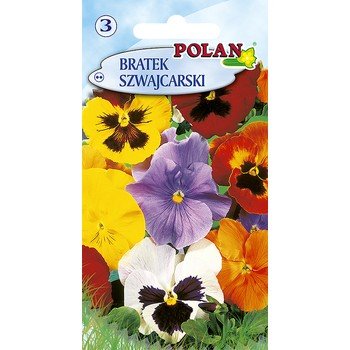 Bratek Szwajcarski Polan