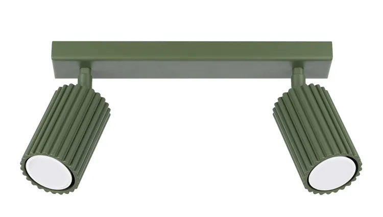 Zielona podwójna lampa sufitowa - D305 F6-H98