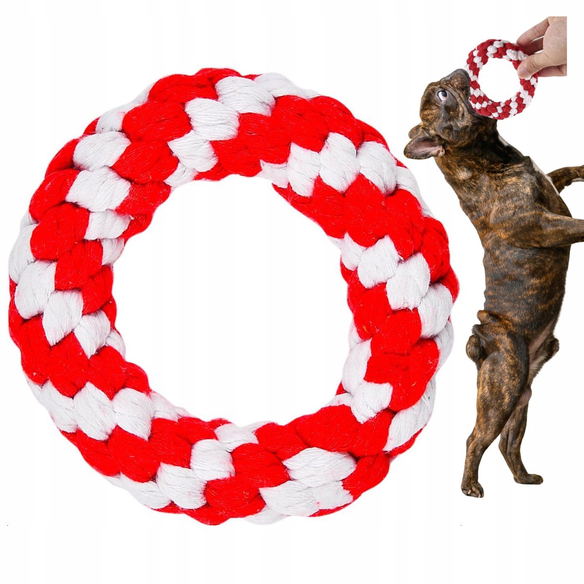 PETSTORY FRISBEE koło plecione dla PSA kota węzeł ZABAWKA 11 CM