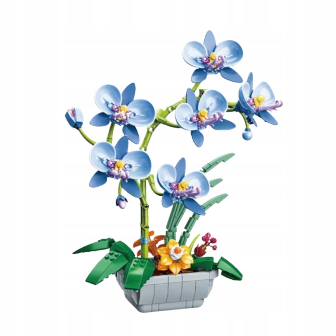 Klocki Orchidea błękitna