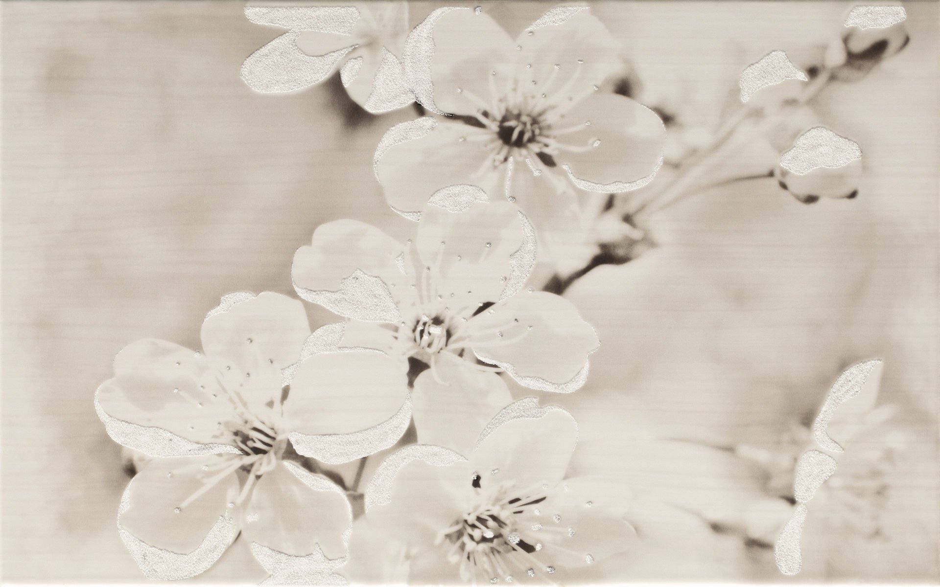 Glazura Gryfin Light Grey Flower 25X40 G1
