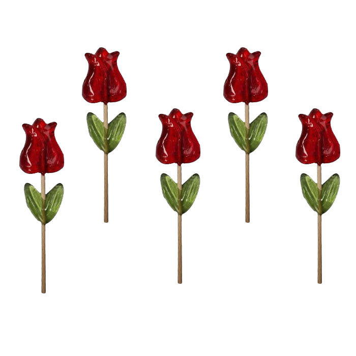 5x LIZAK KWIATEK TULIPAN PREZENT NA DZIEŃ KOBIET 25g