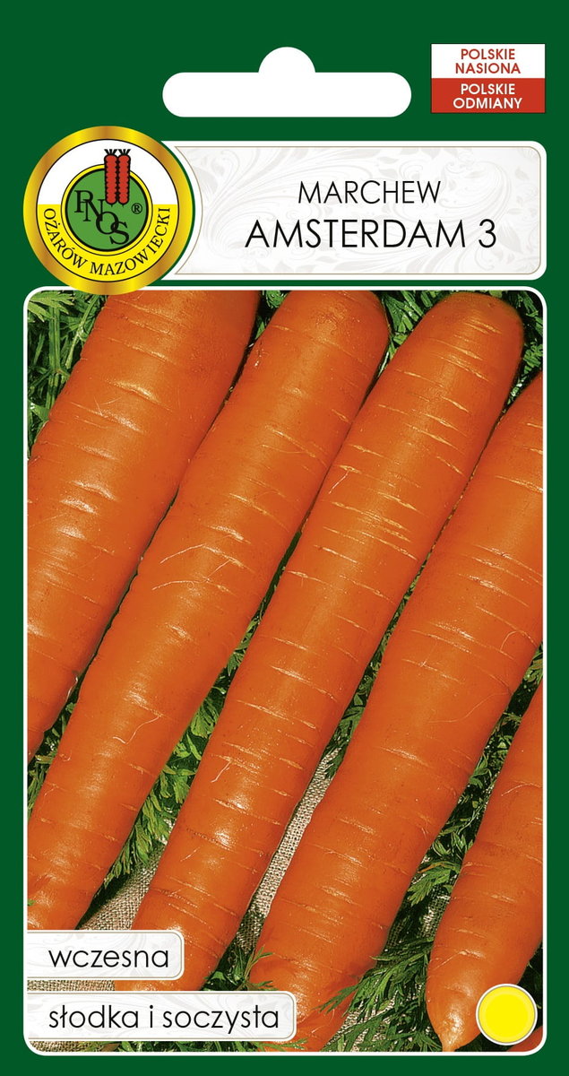 MARCHEW JADALNA AMSTERDAM 3 5g Nasiona Warzyw PNOS