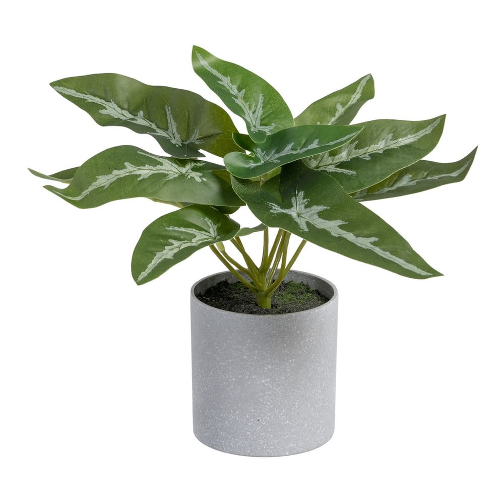 Sztuczna roślina (wysokość 21 cm) Syngonium – Ixia