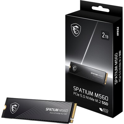 MSI Spatium M560 2TB SSD S78-440Q940-P83