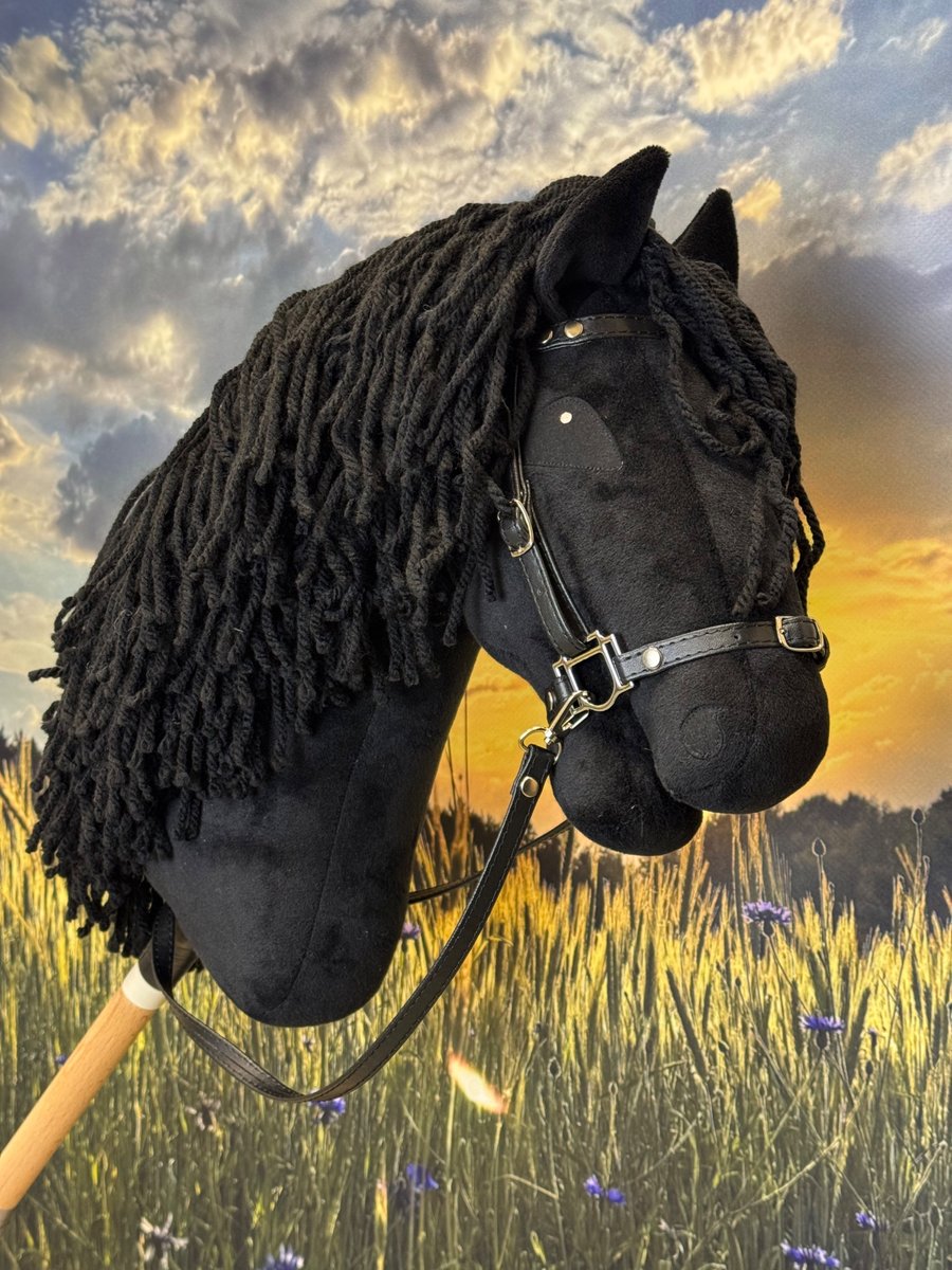 Hobby horse artystyczne oczy A3. Czarny.