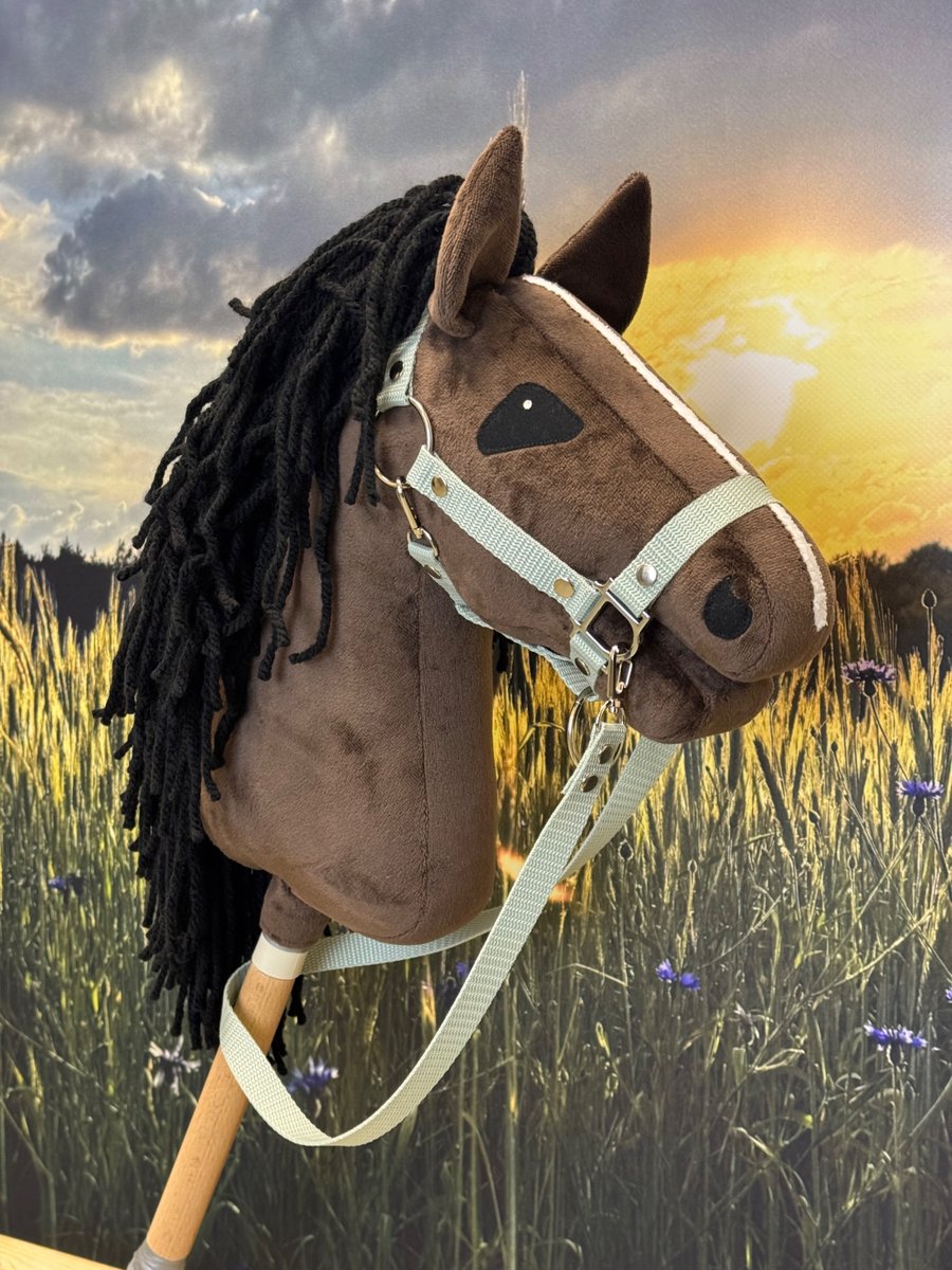 A4 Hobby Horse artystyczne oczy. Brązowy z białym paskiem.