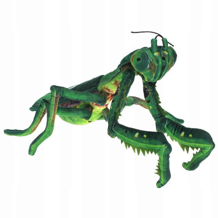 Pluszowe Barwne Zoo: Maskotka Modliszka 40cm (900103)