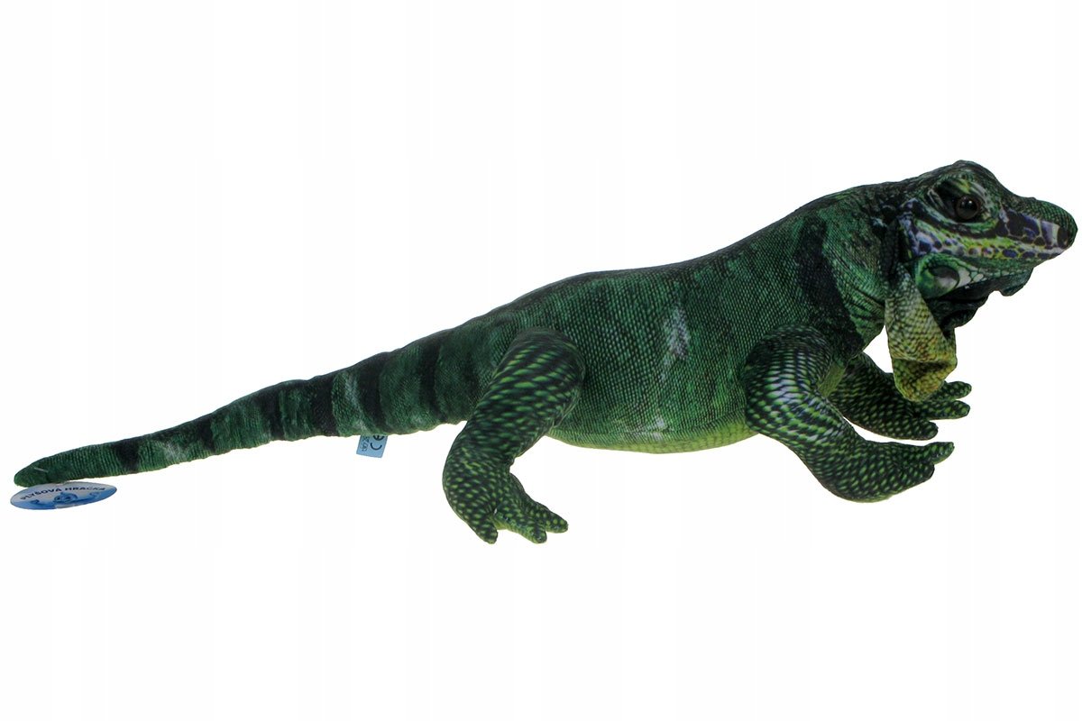 Barwne Zoo: Maskotka iguana, jaszczurka, legwan zielony, 60cm (93301)