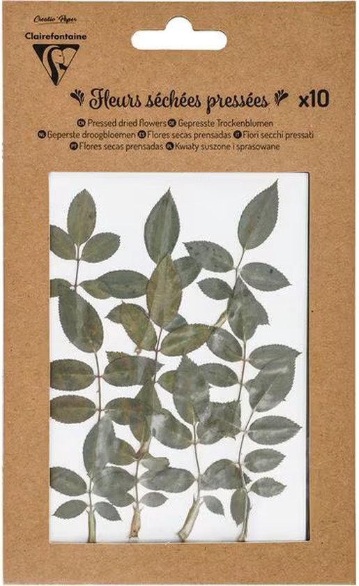 Clairefontaine Suszone Kwiaty Prasowane Liściaste Zielone Płatki Róży 10 sztuk - 195494C