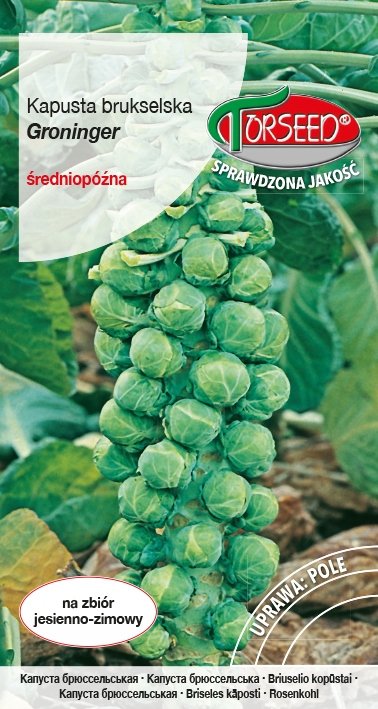 Nasiona Kapusta brukselska Groninger 2g - Torseed