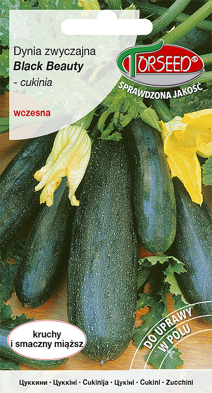 Nasiona Cukinia Black Beauty wczesna 2g - Torseed