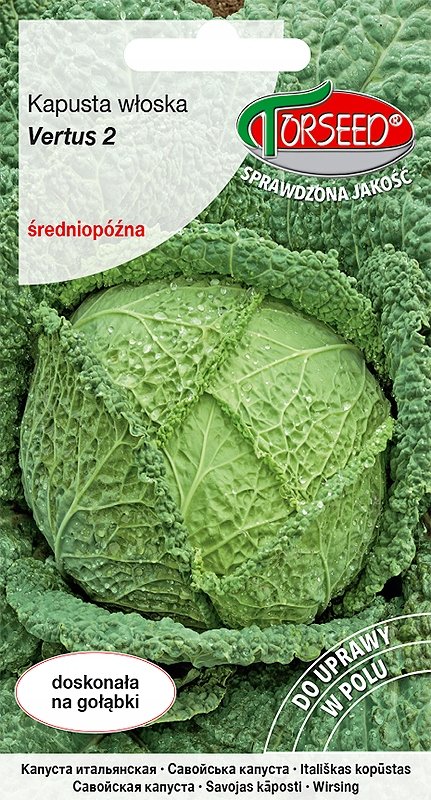Nasiona Kapusta włoska Vertus 2 2g - Torseed
