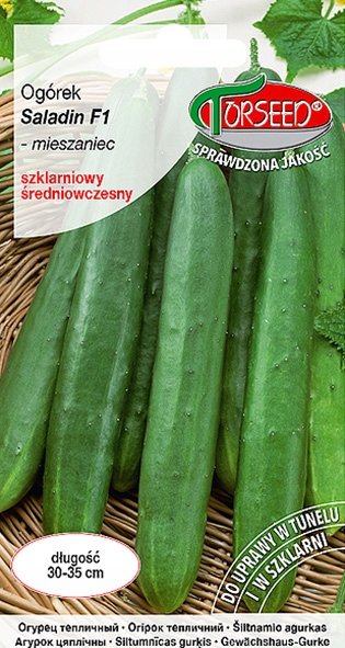 Nasiona Ogórek pod osłony Saladin F1 - Torseed