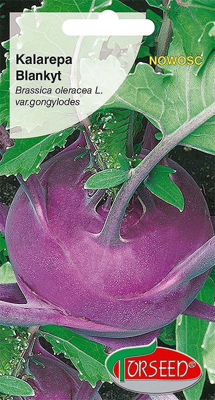 Nasiona Kalarepa Blankyt 1g - Torseed