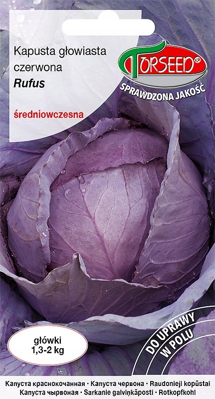 Nasiona Kapusta głowiasta czerwona Rufus 1g - Torseed