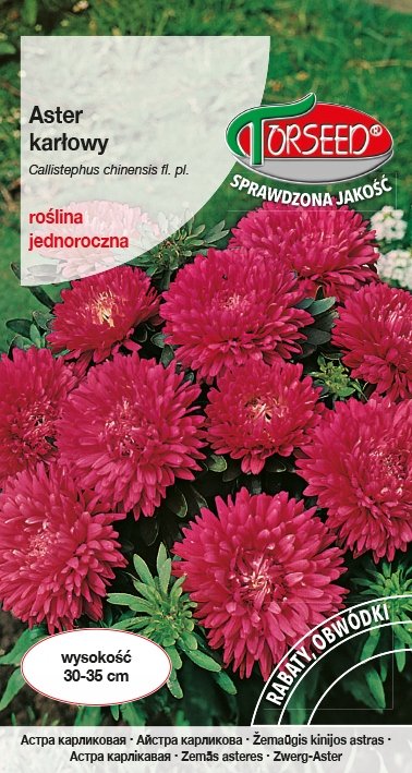Nasiona Aster karłowy karminowy 0,5g - Torseed