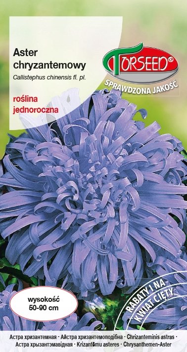 Nasiona Aster wysoki chryzantemowy jasnoniebieski - Torseed