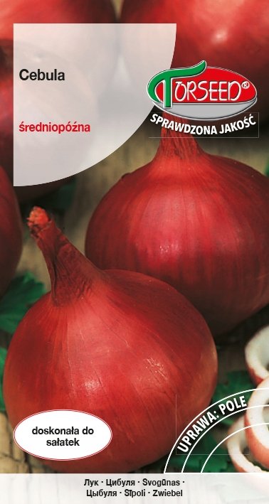 Nasiona Cebula Karmen 3g - Torseed