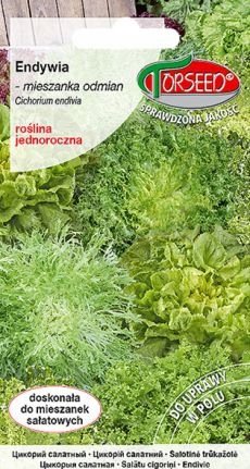 nasiona Endywia mieszanka odmian 2g - Torseed