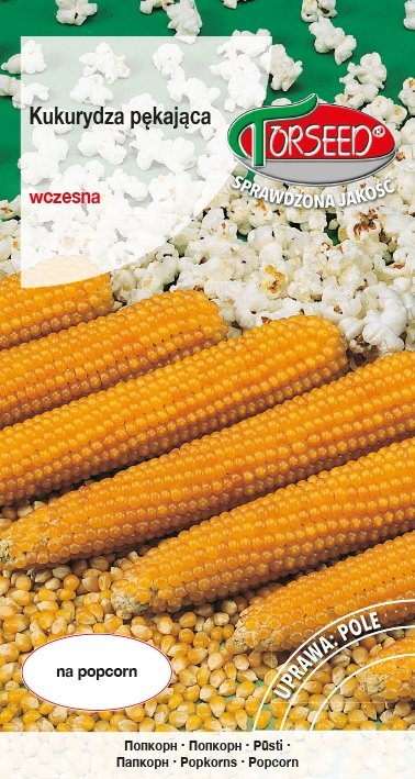Nasiona Kukurydza pękająca - Torseed