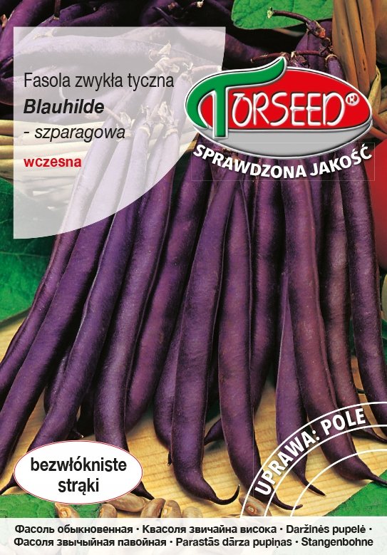 Nasiona Fasola tyczna szparagowa Blauhilde 10g - Torseed