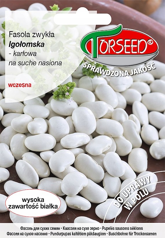 Nasiona Fasola karłowa na suche nasiona Igołomska TOR 50g - Torseed