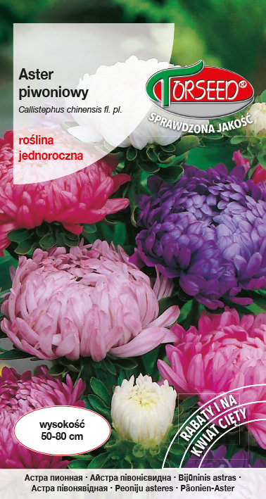 Nasiona Aster wysoki piwoniowy mieszanka 1g - Torseed