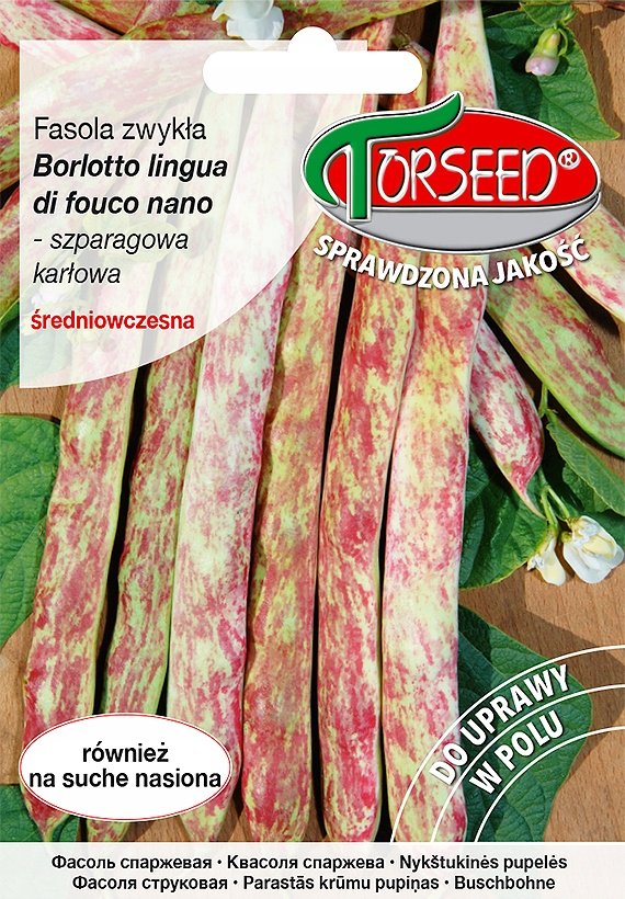 Nasiona Fasola karłowa szparagowa dwubarwna Borlotto lingua di fuoco nano 20g - Torseed